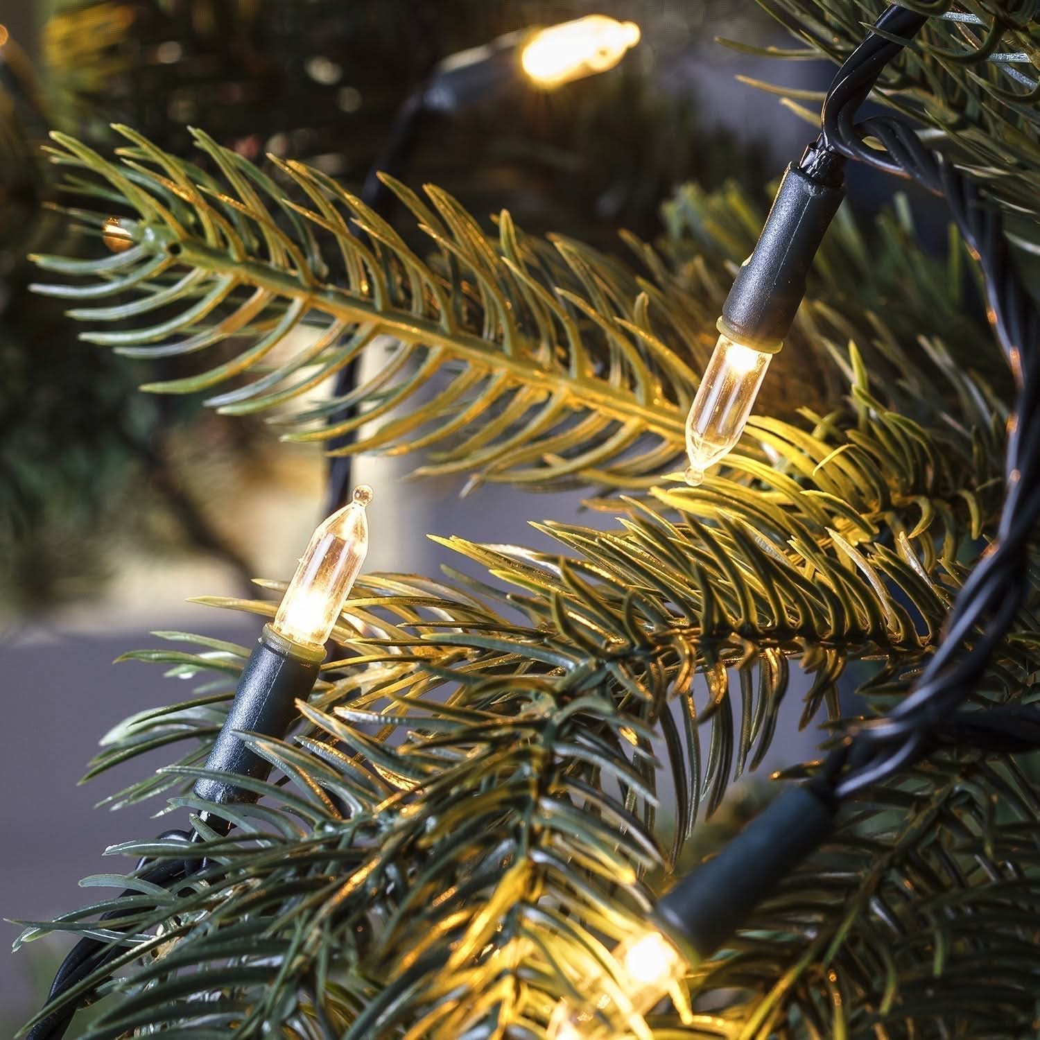 Luzes de LED Tradicional Natalina 5 metros