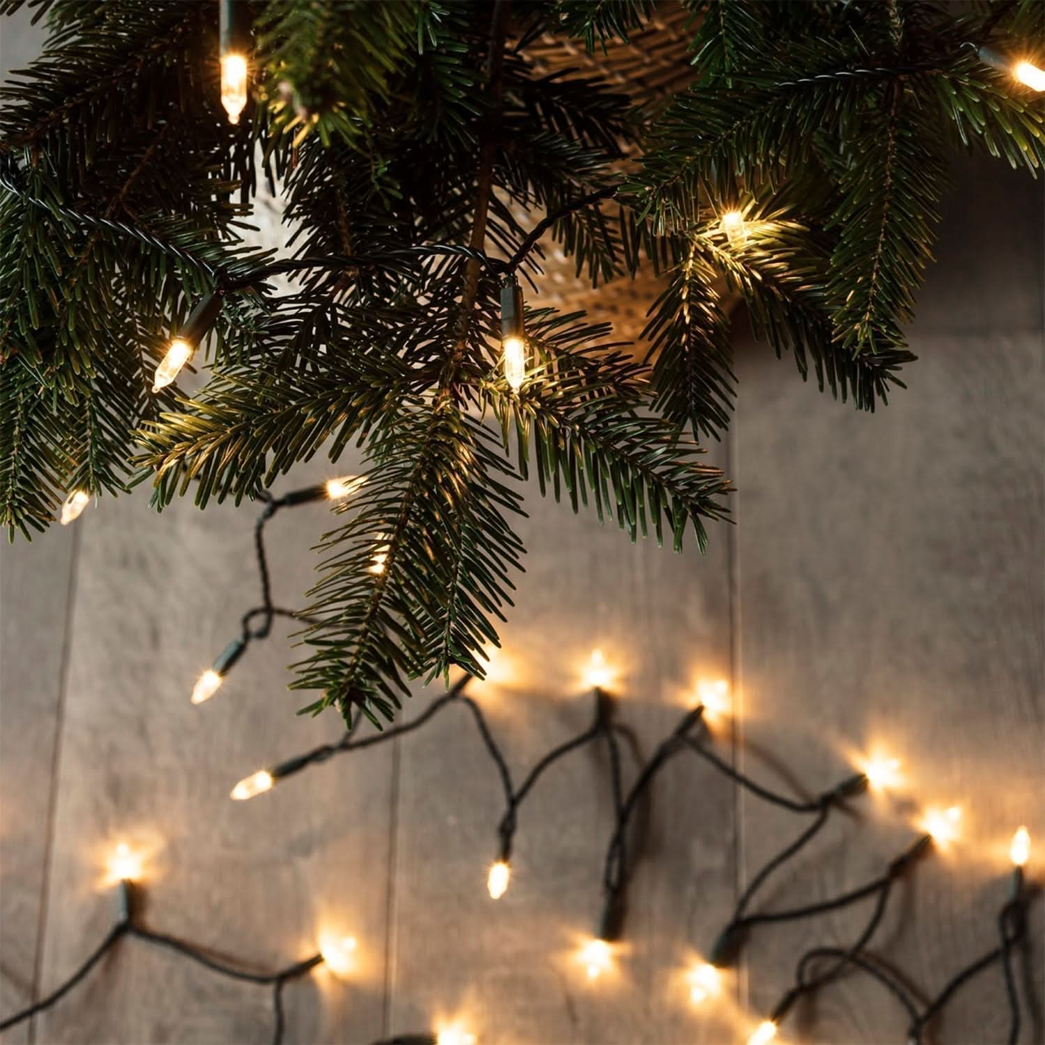 Luzes de LED Tradicional Natalina 5 metros